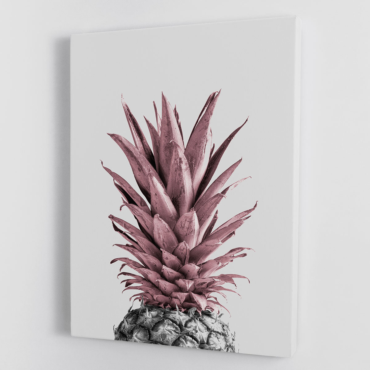 Pineapple Pink 04 Canvas Print or Poster