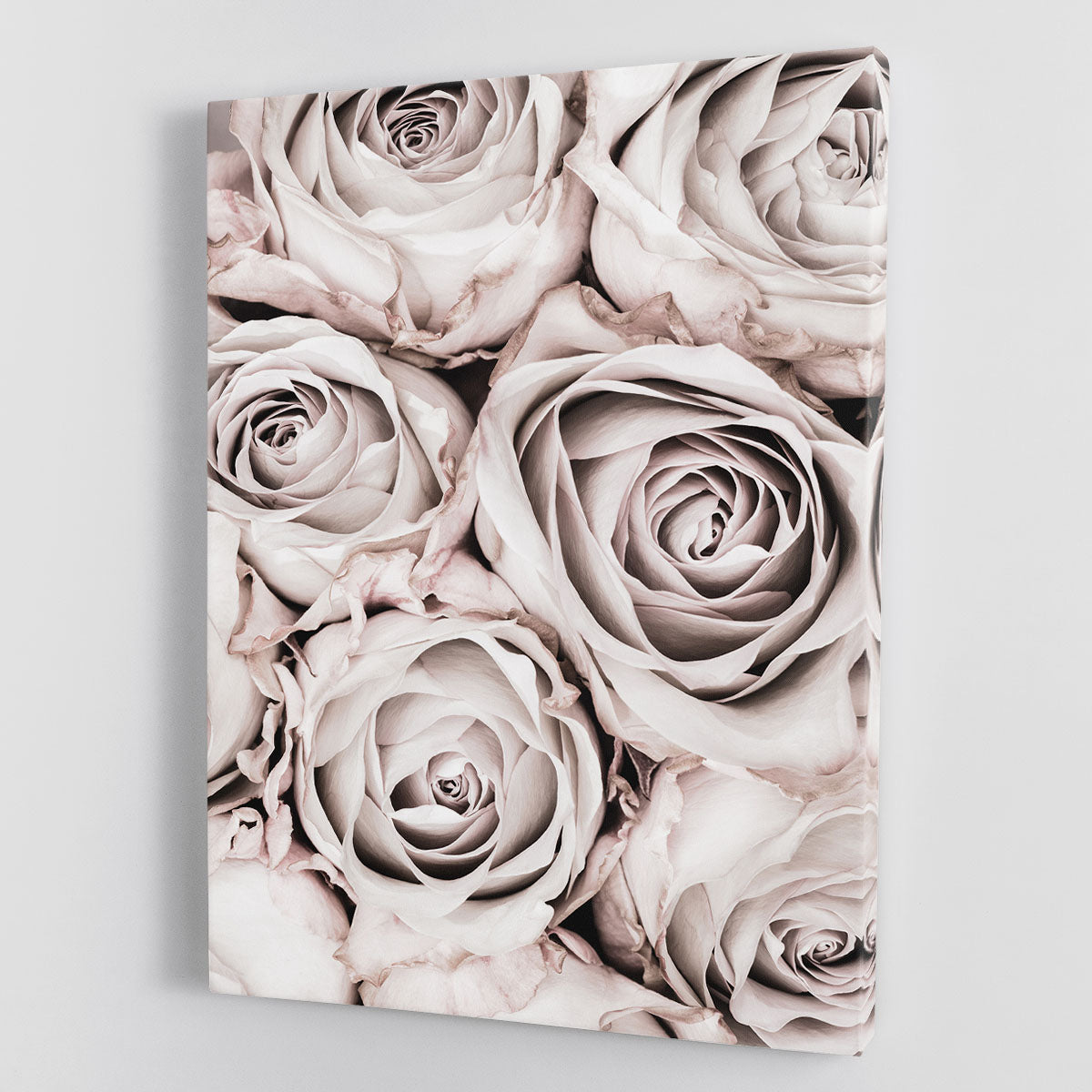 Grey Roses No 01 Canvas Print or Poster