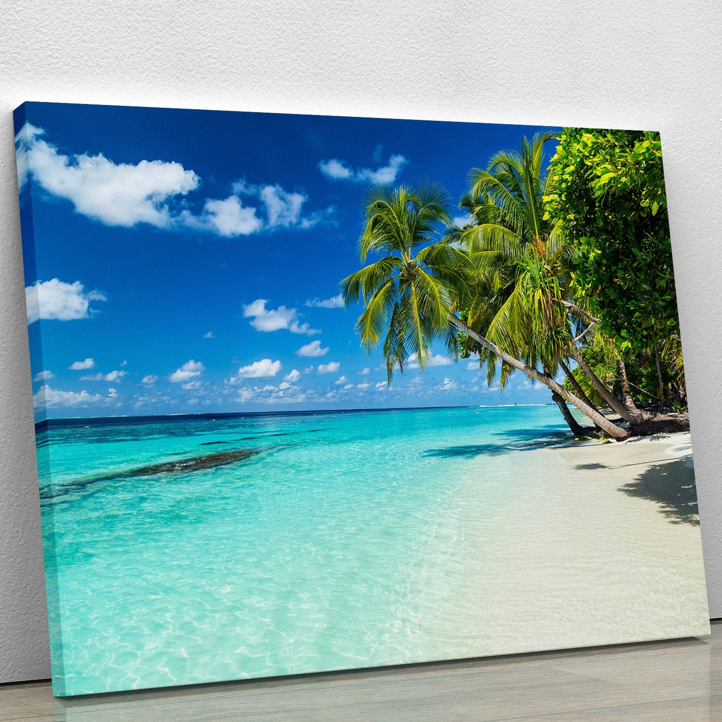 coco palms on paradise beach Canvas Print or Poster