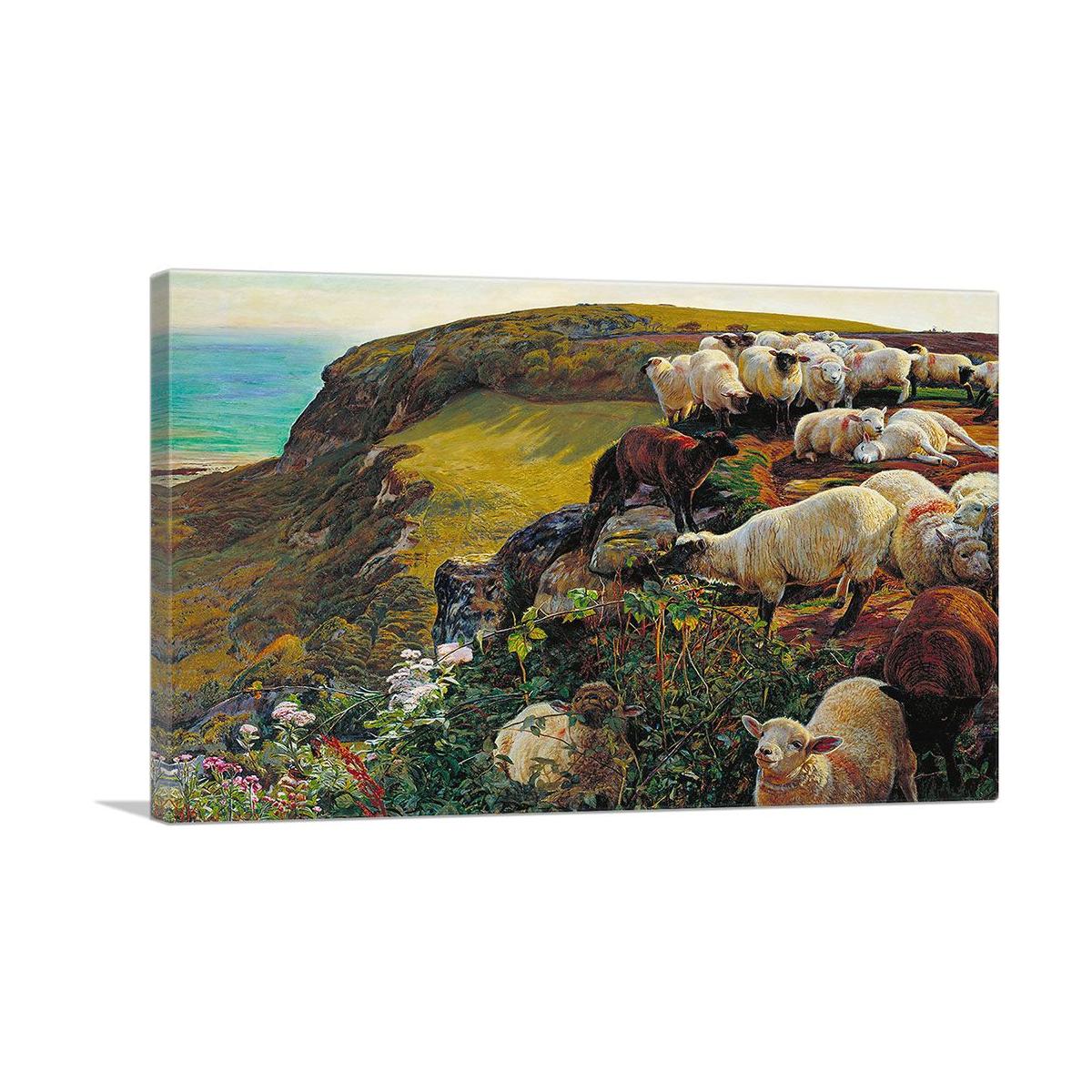 Our English Coasts 1852