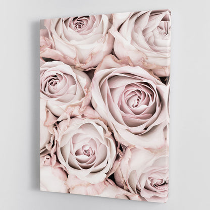 Pink Roses No 01 Canvas Print or Poster