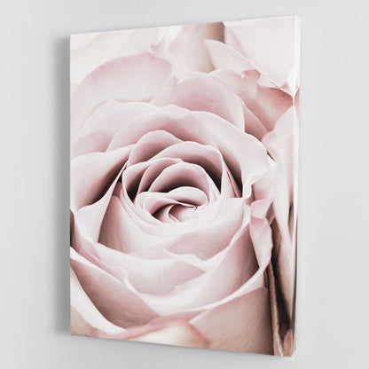 Pink Rose No 06 Canvas Print or Poster