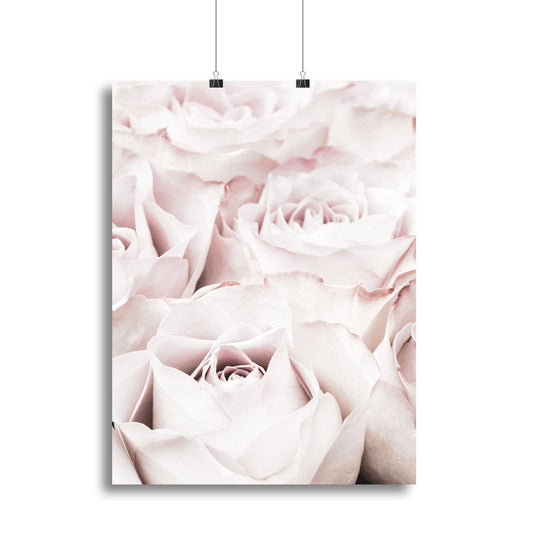 Pink Roses No 04 Canvas Print or Poster