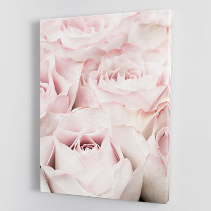 Pink Roses 05 Canvas Print or Poster