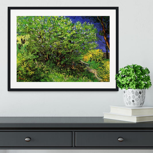 Lilacs by Van Gogh Framed Print