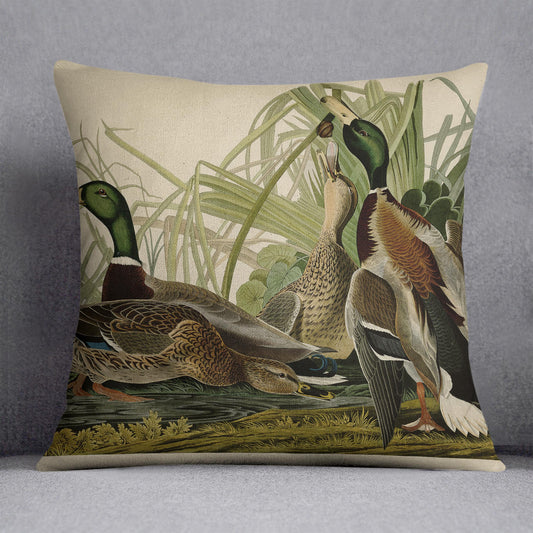 Mallard Duck by Audubon Cushion