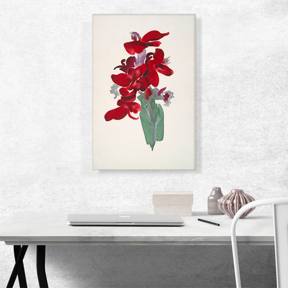 Red Canna 1915