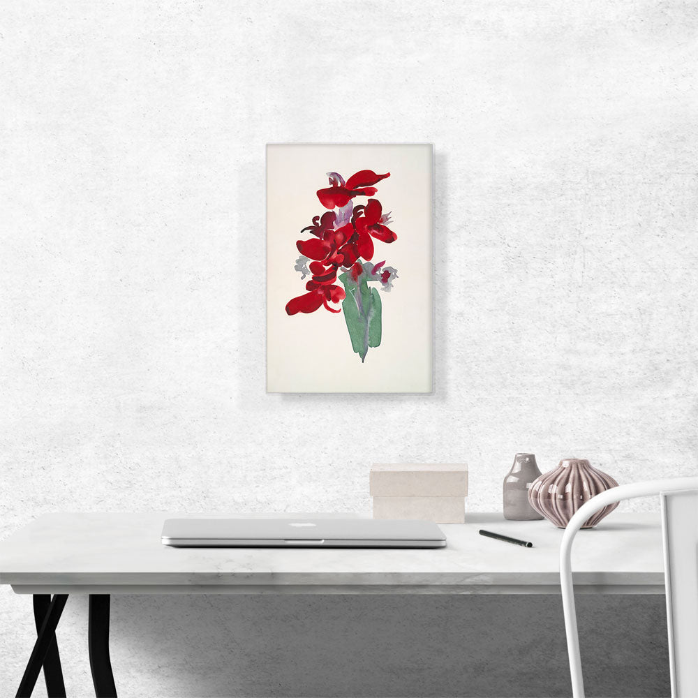 Red Canna 1915