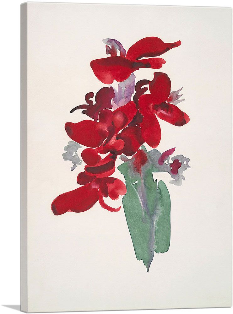 Red Canna 1915