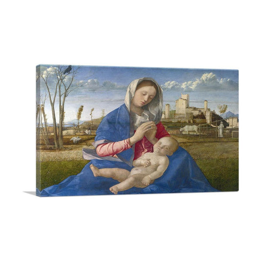 Madonna Of The Meadow 1505
